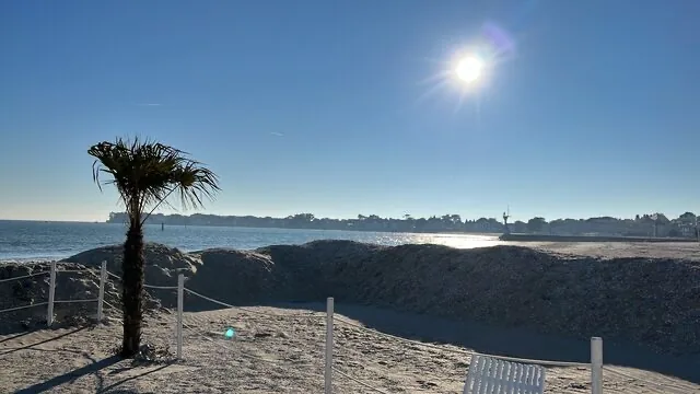 Vue dégagée sur la Plage Benoit à La Baule depuis la terrasse du Le B, palmier au premier plan