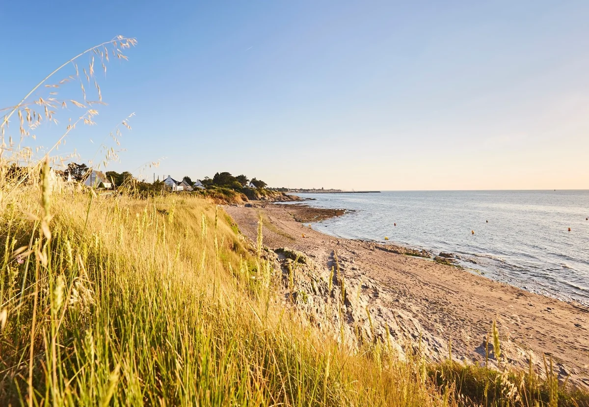 Vue dorée sur la plage de Port-au-Loup au lever du jour, dunes et herbes hautes au premier plan