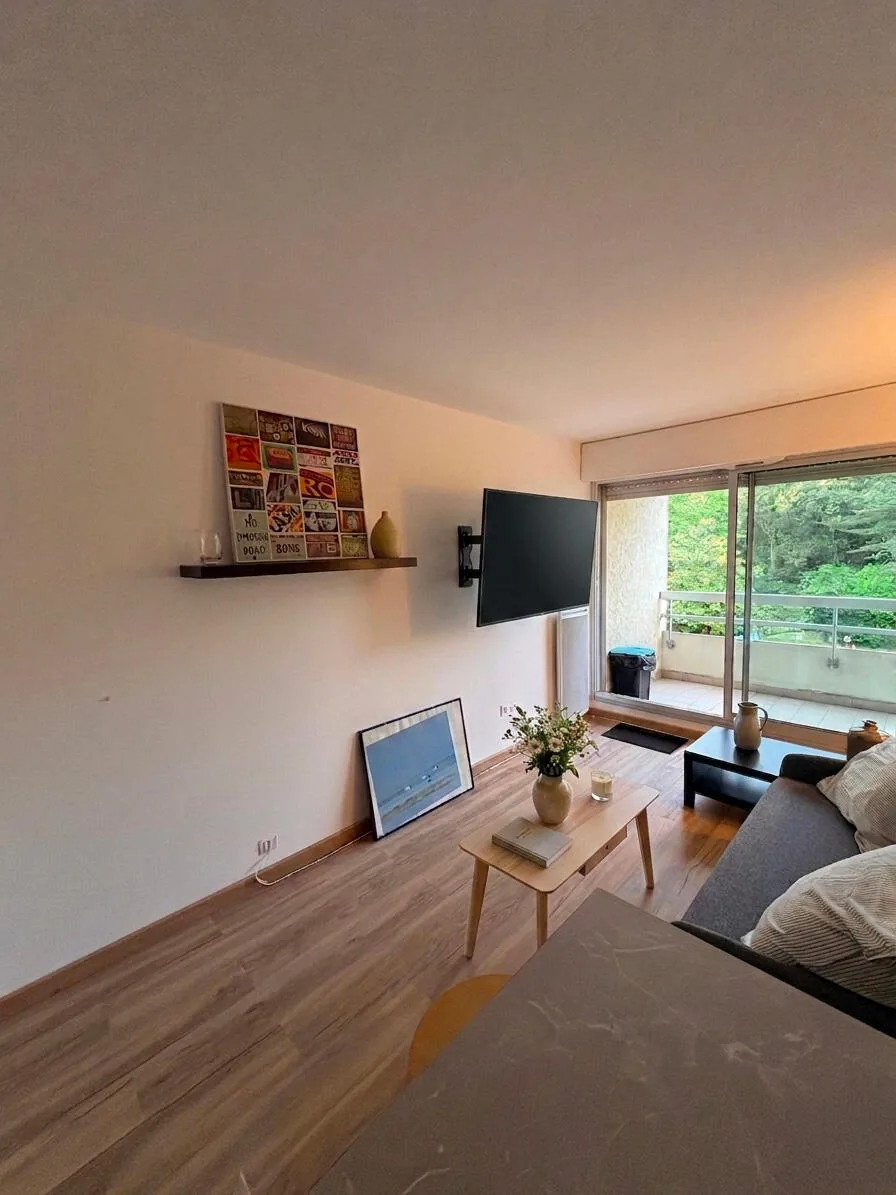 Salon avec TV