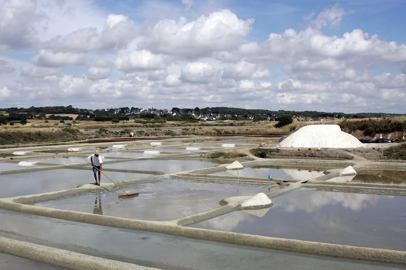 Paludier au travail dans une saline des marais de Guérande